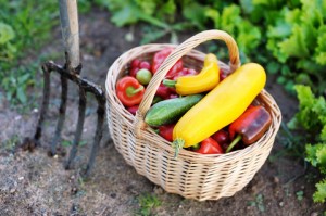 Bioprodukte sind nicht immer die gesünderen Lebensmittel